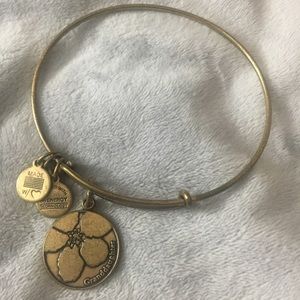 Alex & Ani Bracelet